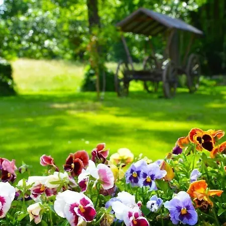 Kur Und Wellnesshaus Spreebalance, The Originals Relais Hotel Burg (Spreewald)